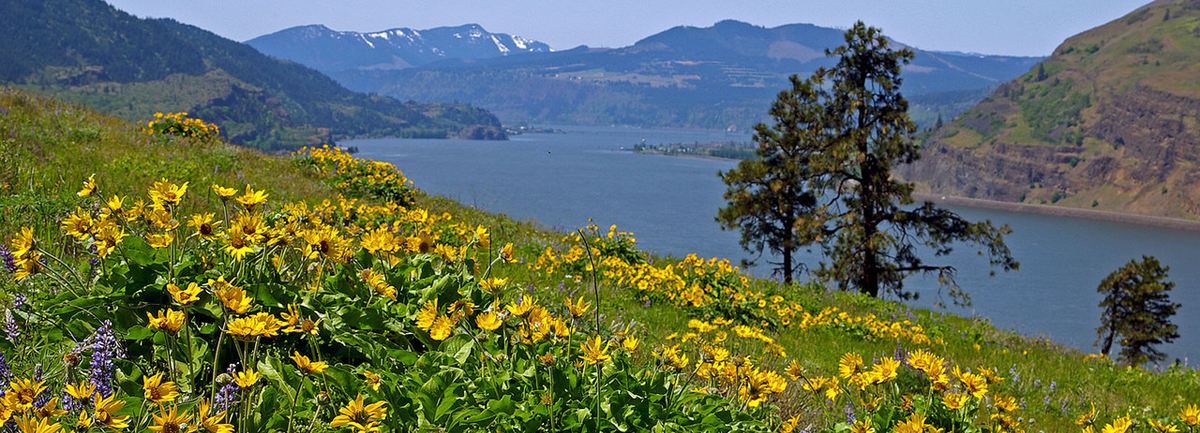 Mosier Plateau